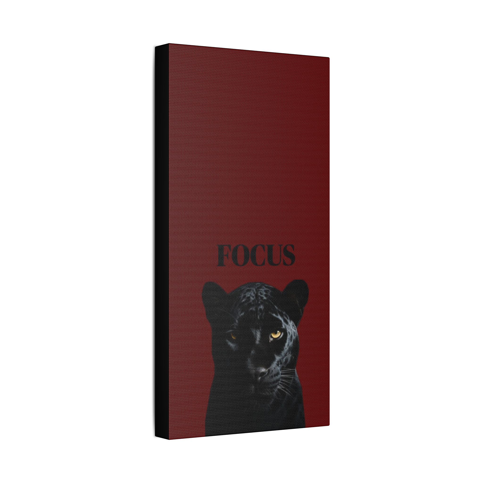 Focus - Black Panther Canvas